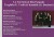Don Pasquale & La Traviata